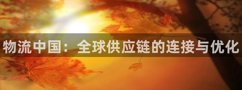 超凡国际注册送：物流中国：全球供应链