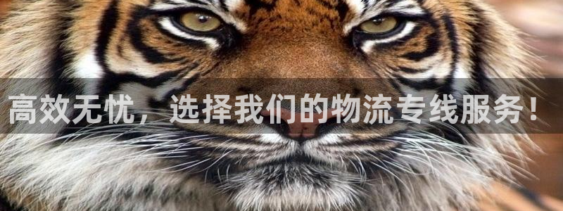 超凡国际官网下载加拿大：高效无忧，选