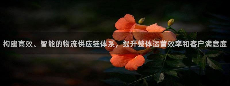 超凡国际女王中奖记录查询：构建高效、
