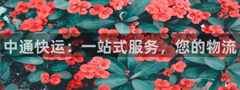 超凡国际免费