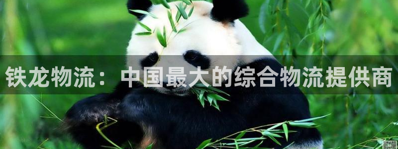 超凡国际能不能退