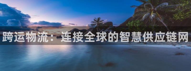 超凡国际代理落网：跨运物流：连接全球