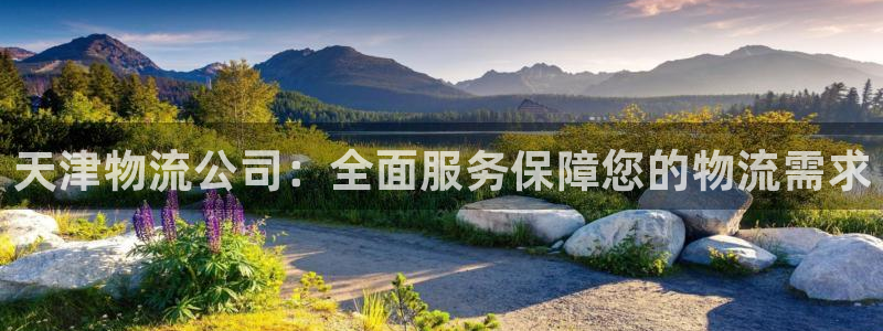 超凡国际pc预测：天津物流公司：全面