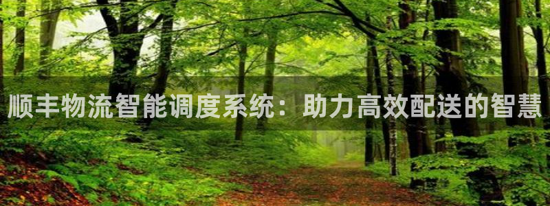加拿大超凡国际是什么：顺丰物流智能调