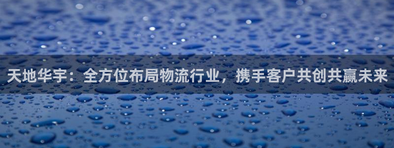 超凡国际加拿大技巧：天地华宇：全方位