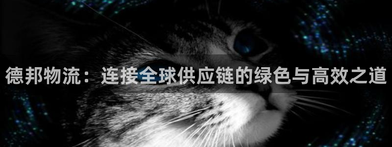 超凡国际连接:德邦物流:连接全球供应