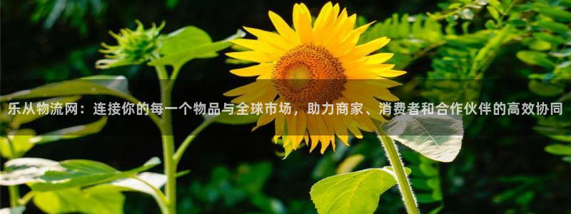 超凡国际链接：乐从物流网：连接你的每一个物品与全球市场，助力