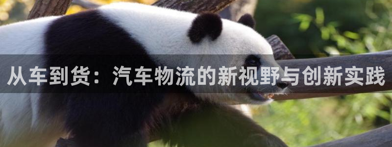 超凡国际加拿大开奖：从车到货：汽车物流的新视野与创新实践