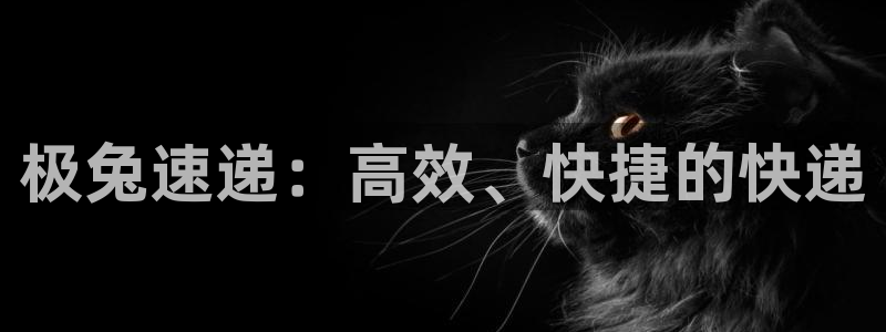 超凡国际怎么下载不了：极兔速递：高效、快捷的快递