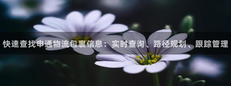超凡国际官网版所有版本