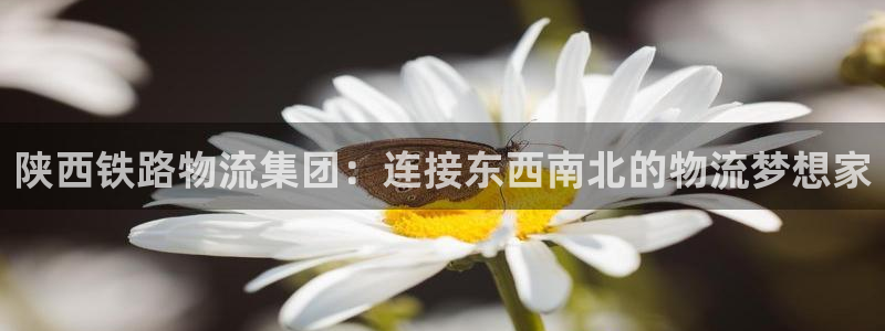 南宫超凡国际官网版