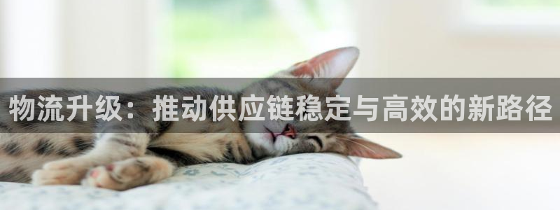 超凡国际官网下载加拿大：物流升级：推动供应链稳定与高效的新路