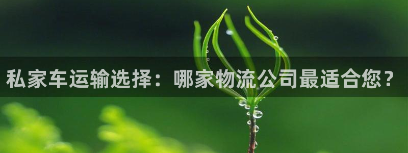 超凡国际防失联网址：私家车运输选择：