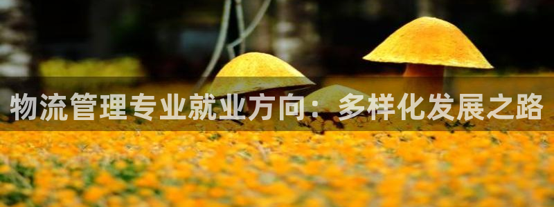 超凡国际充值不处理会怎么样：物流管理专业就业方向：多样化发展